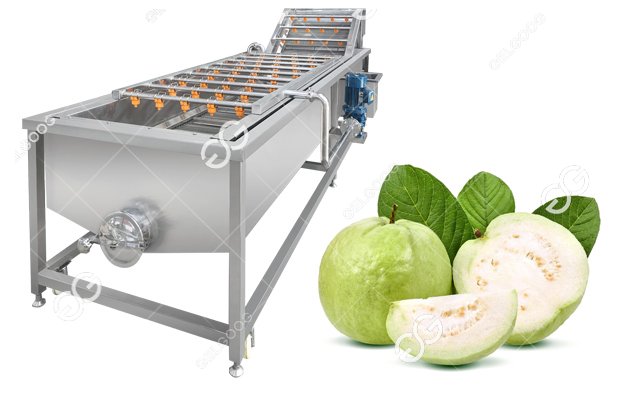Farm Use Guava Washing Processing Machine Price