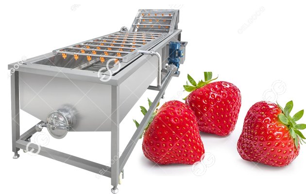 Commercial Use Strawberry Washing Machine|Blueberry Washer