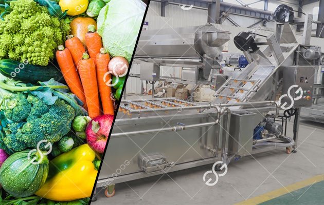 Market Analysis Of Fruit And Vegetable Cleaning Industry