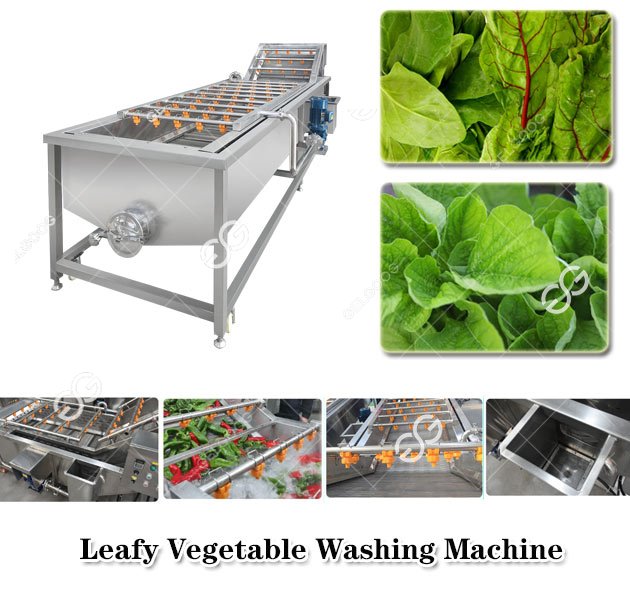 leafy vegetable washing machine 