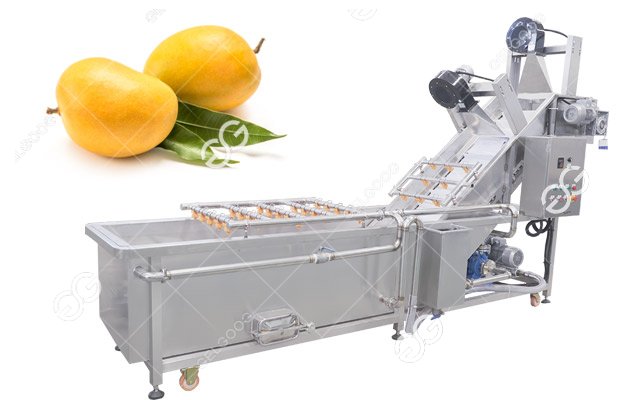 Mango Hot Water Treatment Machine Plant