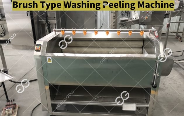 brush type washing peeling machine 