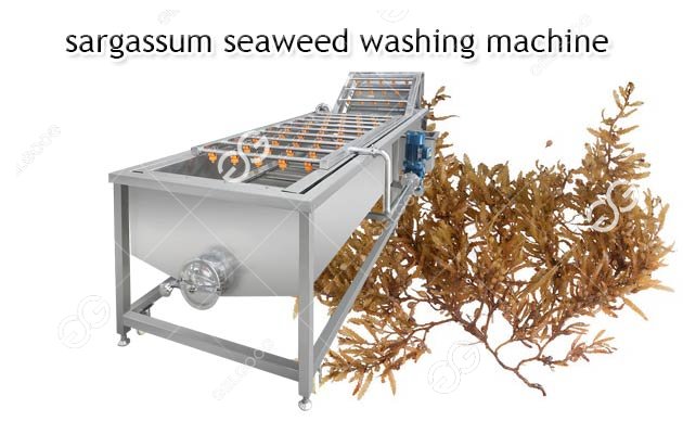 seaweed washing machine