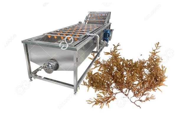 Automatic Sargassum Seaweed Washing Machine Price