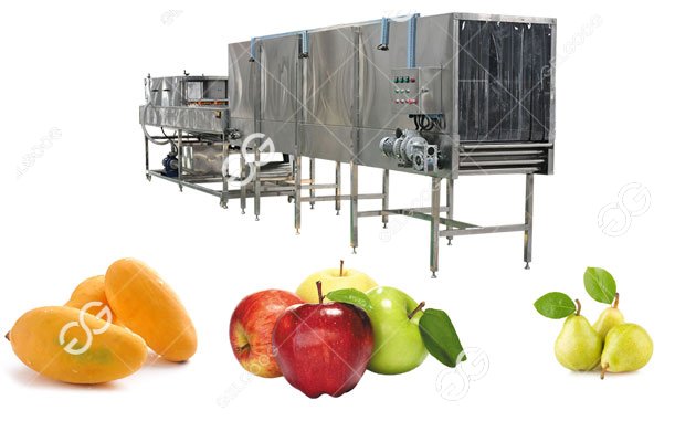 fruit waxing machine 