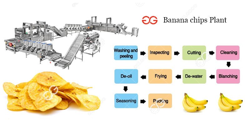 banana chips plant 
