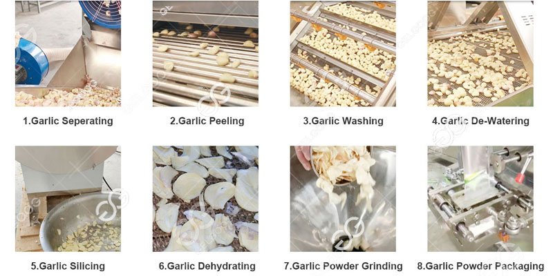 garlic powder processing machine line 