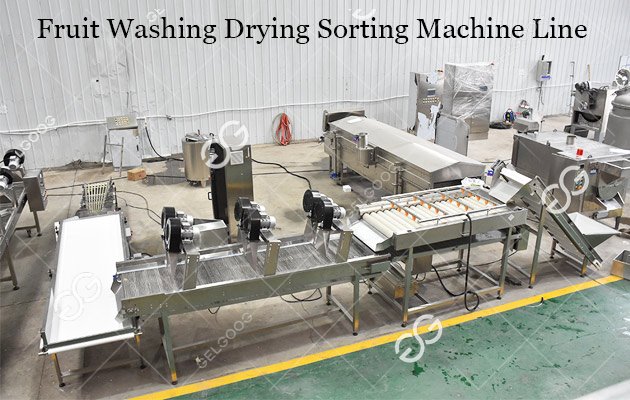 dates washing drying grading machine line 