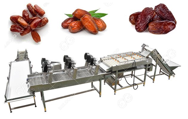 dates fruit processing machine line 
