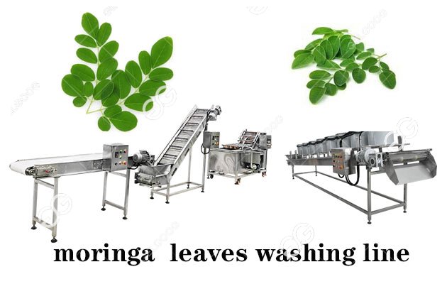 moringa leaf washing drying machine 