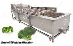 A Large Farm In Mexico Purchased Broccoli Washing Machine With A Capacity Of 40 Tons Per Day