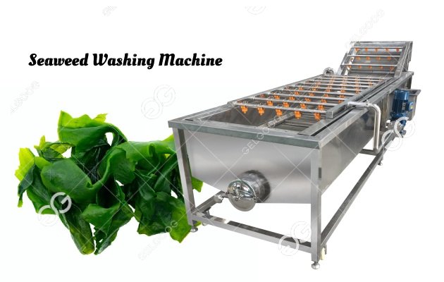 Automatic Seaweed Washing Machine Sea Kelp Washer