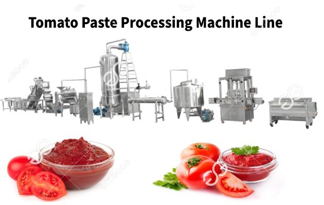 Quick Response And Flexible Tomato Paste Pocessing Solutions Services For Customers