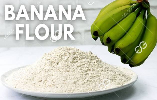 How to Process Banana Flour?