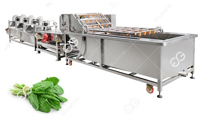 Leafy Vegetable Washing And Drying Machine Line