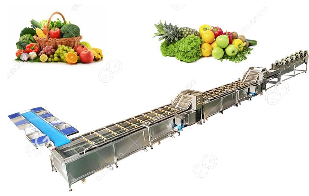 Commonly Used Fruit Vegetable Processing Equipment