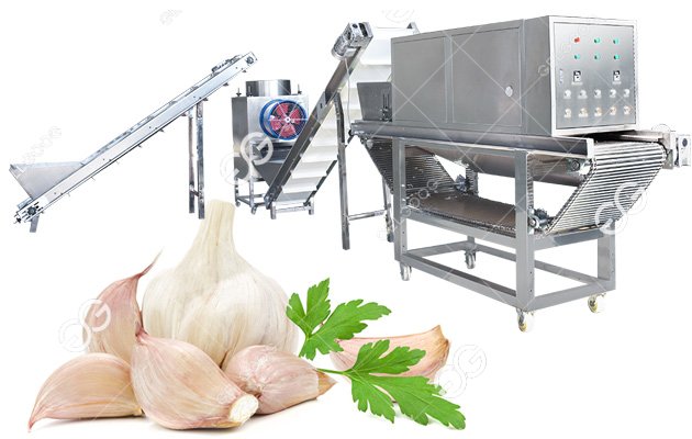 Customizable Garlic Peeling Processing Machine Line