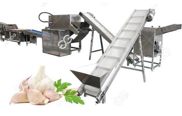 garlic peeling machine line 