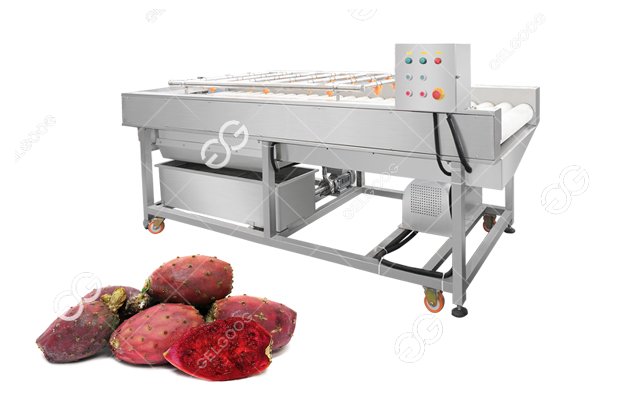prickly pear cleaning machine price 