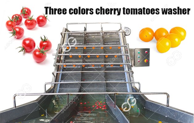 New Type  Three-Color Tomato Washing Machine Line
