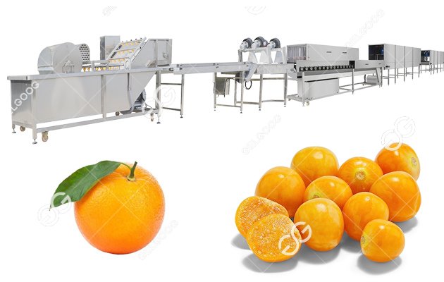 fruit washing drying machine 