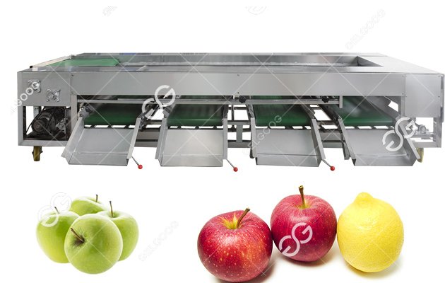 fruit grading machine 