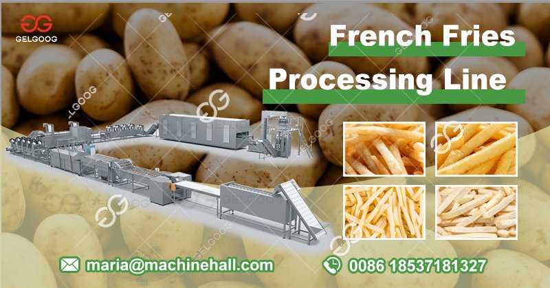 frozen french fries line 