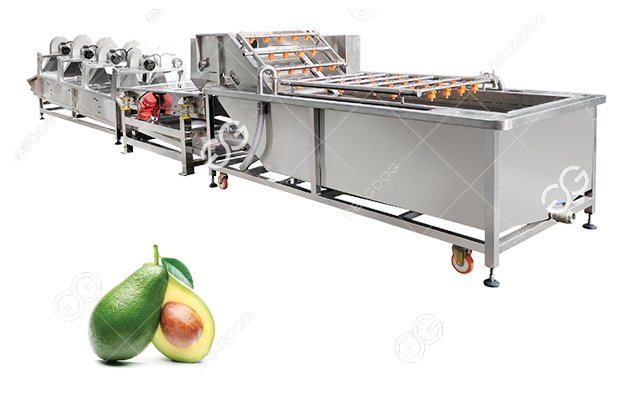 Avocado Washing Processing Machine Line Hot Sale