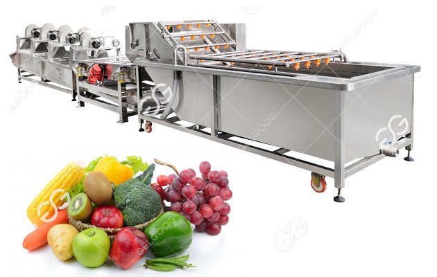 How To Start A Vegetable Processing And Production Business?