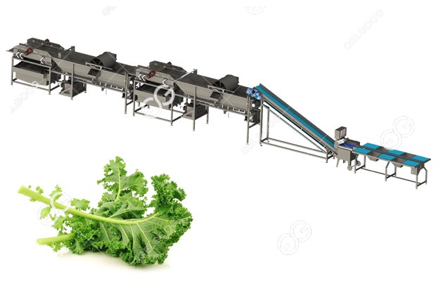 Fruit Vegetables Processing Machine L