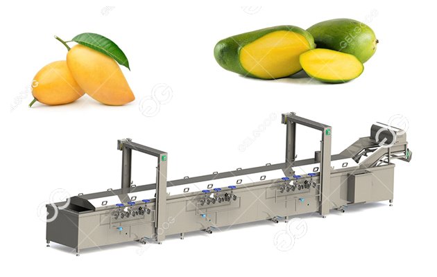 mango hot water treatment machine 