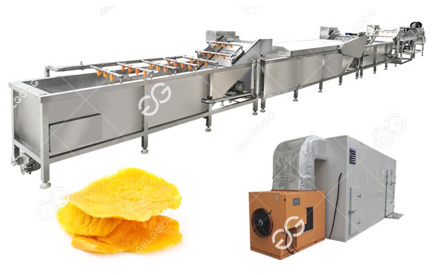 mango chips processing machine 