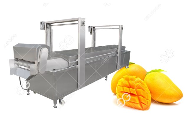 mango processing machine 