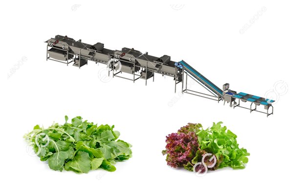 vegetable processing machine line 