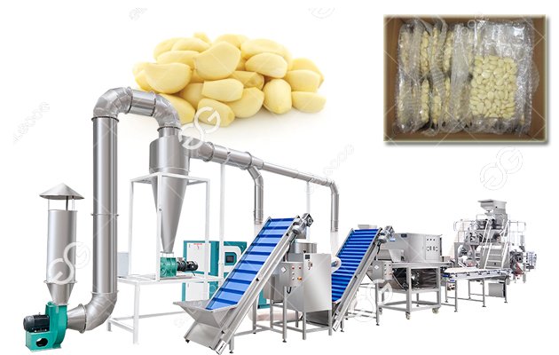 Necessity Of Vacuum Treatment Of Garlic