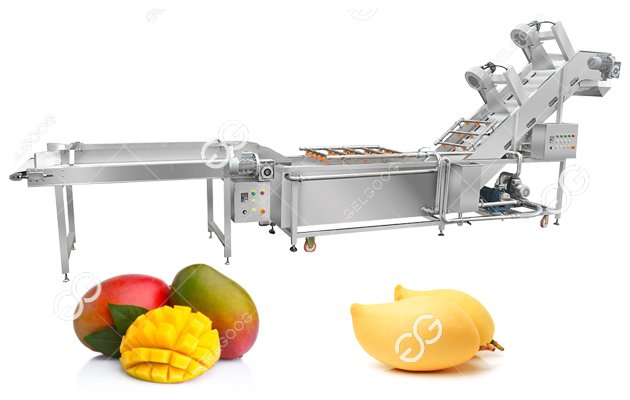 Automatic Mango Washing Processing Machine Line