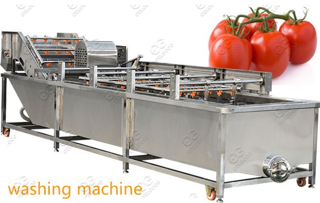 Industrial Fruit and Vegetable Washing Machine