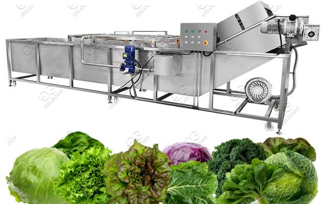 industrial vegetable washing machine