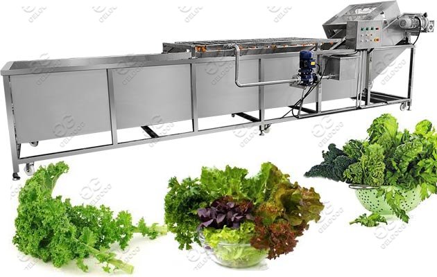 automatic vegetable washing machine