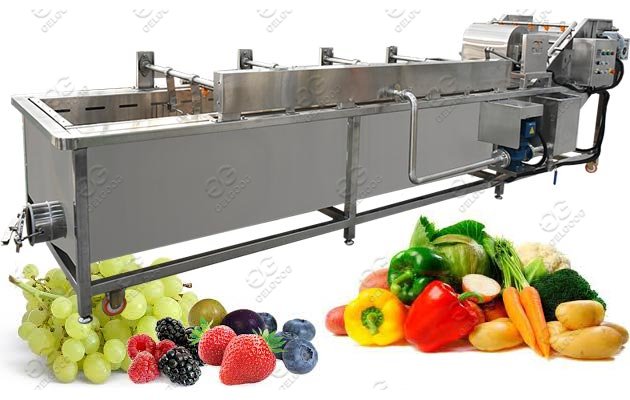 Industrial Use Fruit Vegetable Washing Machine Price