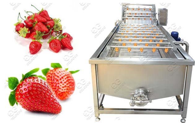 strawberry washing machine