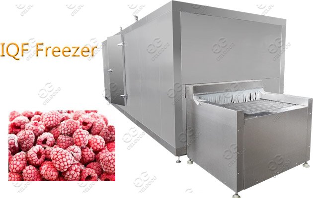IQF freezer processing line