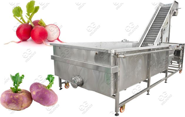 vegetable washing machine price