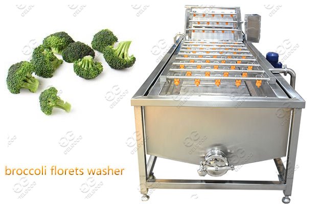 automatic broccoli florets washing machine