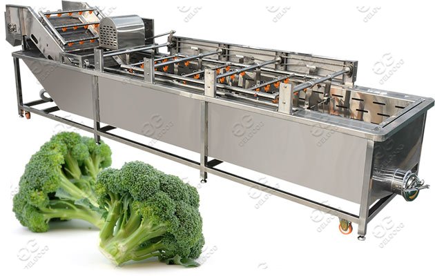 broccoli florets cleaning machine