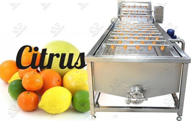 automatic citrus washing machine