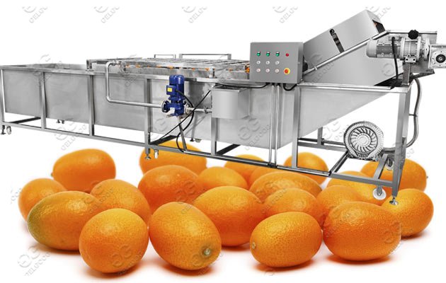 citrus washing machine supplier