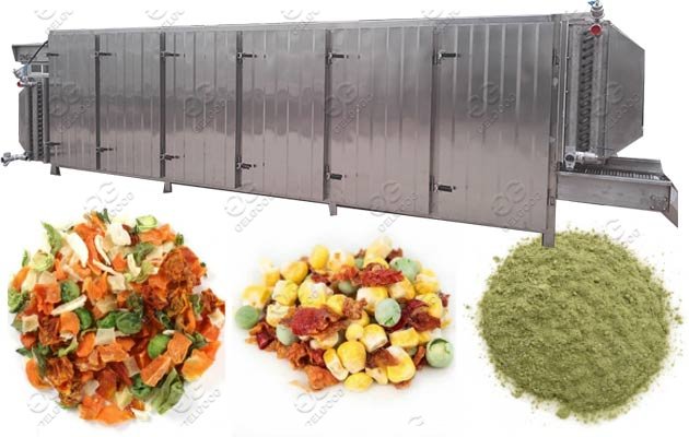 tunnel type fruit vegetable drying machine