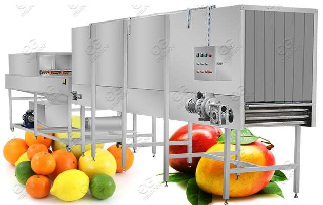 fruit washing and waxing machine