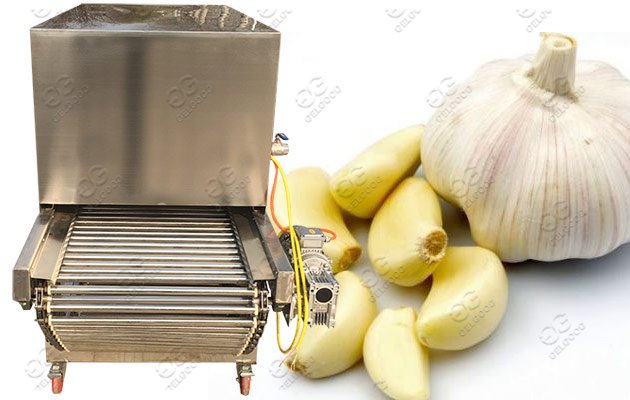 industrial use garlic peeler machine